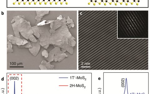 南洋理工大学Nat. Chem. ：高纯相1T′-MoS2晶体相和1T′-MoSe2层状晶体相