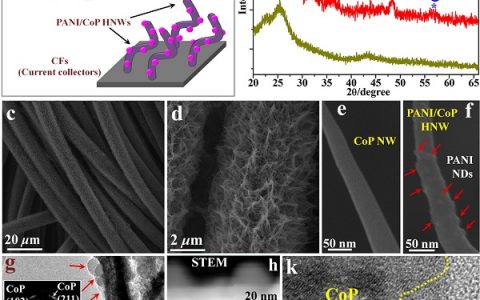中山大学JACS：通过弱化聚苯胺/磷化钴杂化纳米线表面上氢离子的束缚实现类铂析氢电催化