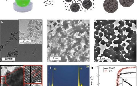 牛津大学Nat. Nanotech.：具有抗菌活性和细菌绑定能力的超顺磁镍胶体纳米晶体簇
