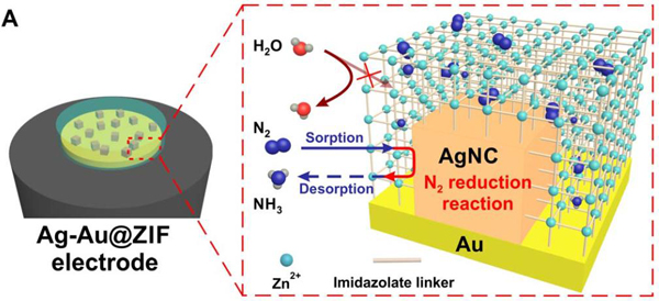 催化材料前沿研究成果精选【第6期】