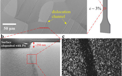 马克斯·普朗克学会Acta Mater.：ω相对亚稳β钛合金塑性的影响
