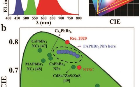 南京理工大学曾海波AFM：精准实现Rec.2020标准“最绿”钙钛矿发光