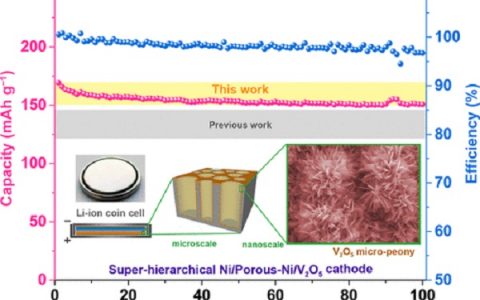 美国德克萨斯A&M大学 ACS AEM：新型纳米超分级结构Ni/Porous-Ni/V2O5高性能储锂电极