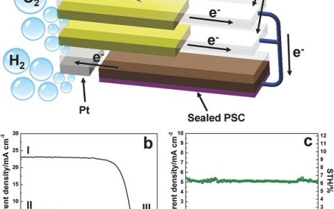 Adv. Mater. : 富含氧空位的新型BiVO4双光阳极用于高效太阳能光解水