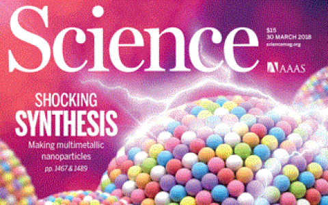 顶刊封面: 三月材料领域优秀成果十大精选