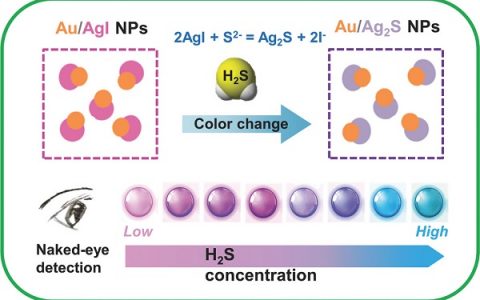 中国石油大学(华东)&加州大学河滨分校 Adv. Funct. Mater.:Au / AgI二聚体纳米粒子用于硫化氢的高特异性可视化检测