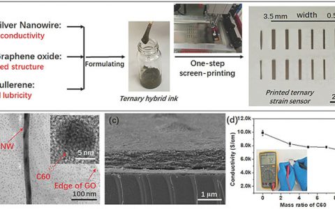 南开大学Adv. Funct. Mater.: 富勒烯降低内摩擦——高性能0D-1D-2D三元纳米复合材料应变传感器