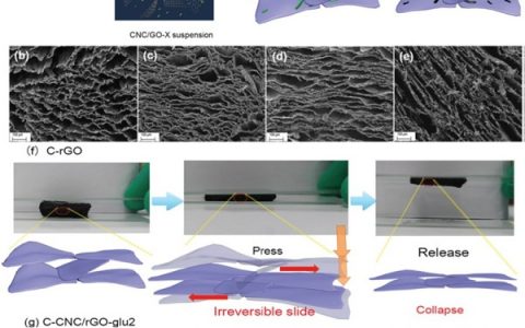 华南理工大学Adv. Mater.：超灵敏、高压缩、抗疲劳、可弯曲石墨烯碳气凝胶