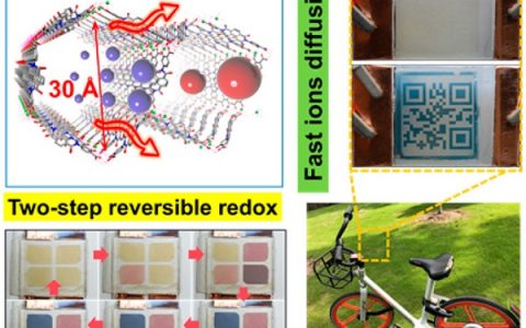 东华大学王宏志团队ACS Nano:高性能Na+离子电致变色助力廉价显示电子及物联网器件
