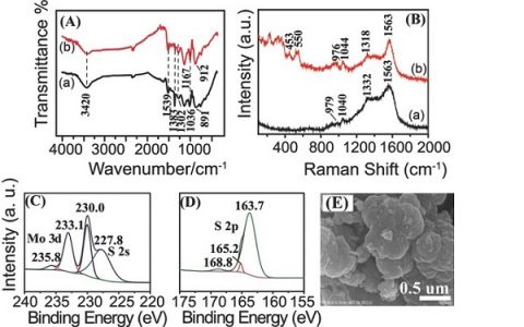 美国西北大学Adv. Funct. Mater.:一种酸性稳定的聚吡咯-四硫化钼材料用于高效的重金属选择性清除