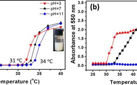 北京大学于海峰&北京化工大学杨万泰Macromolecules：带电荷端基的偶氮羧酸嵌段聚合物具有特殊的热响应行为