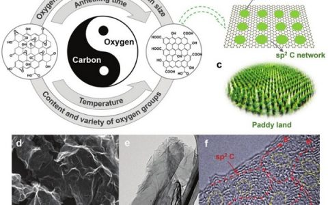 哈尔滨工程大学Adv. Funct. Mater.: “水稻田”与石墨烯：兼具超高比容量及倍率性能超级电容器电极材料的结构设计与可控制备