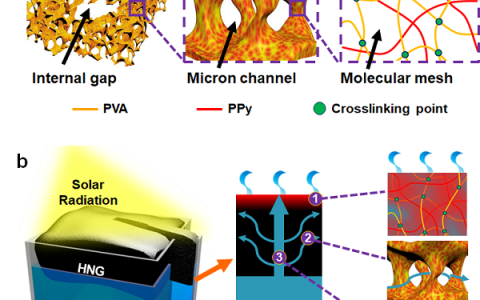 今日Nature Nanotech最新文章
