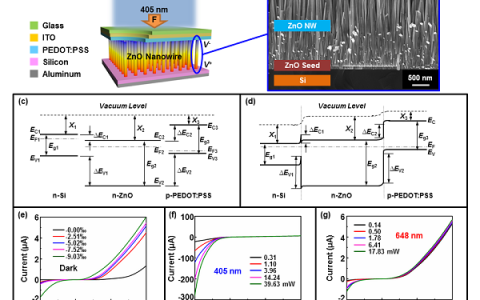 西安交大Nano Energy：同时利用正负压电电荷的压电光电子学效应调制三层异质结光电器件性能