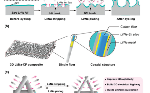 马里兰大学胡良兵Advanced Energy Materials：无枝晶碱金属阳极的3D可润湿性框架
