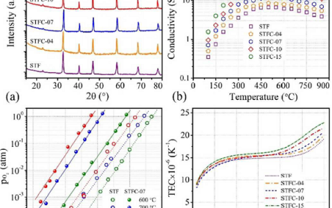 西安交通大学李长久教授Energ. Environ. Sci.：一种高性能、高稳定性的用于中温固体氧化物电池的氧电极材料
