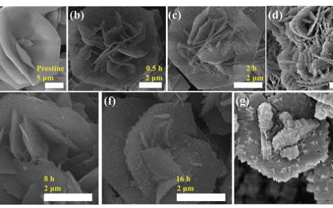 复旦大学AEM：氢氧化镍转化为三维普鲁士蓝类似物阵列获得Ni2P / Fe2P作为高效氢反应催化剂