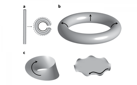 Nature Materials：零消耗的光纤自动化