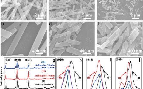 武汉理工麦立强Nano energy：等离子刻蚀三氧化钼制造氧缺陷实现储锂结构稳定及可逆容量提升