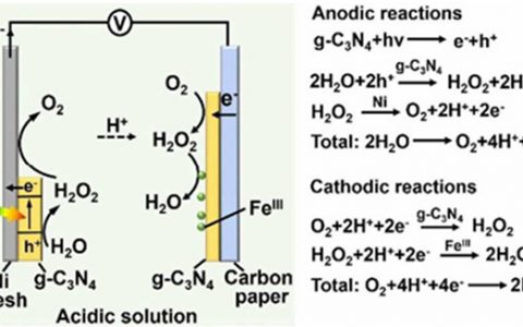 苏州大学Energy Environ. Sci.: 基于C3N4催化剂的光电化学池实现太阳能到电能直接转换