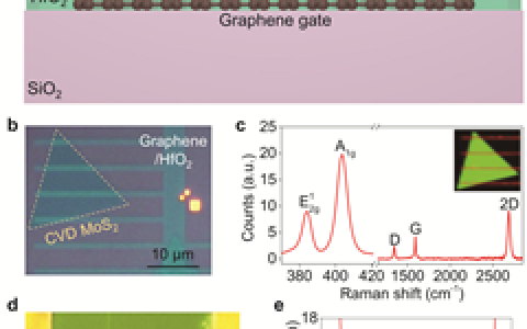 Nano Letters：高性能单层二硫化钼短沟道场效应管