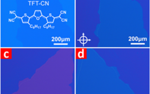 天津大学Advanced Materials:基于N型二维有机单晶的高性能场效应晶体管和近红外光电晶体管