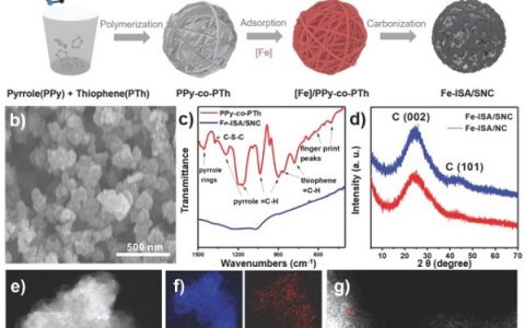 清华大学李亚栋院士Advanced Materials：共聚物热解法制备S，N共掺杂碳负载的Fe单原子用于高效氧还原反应