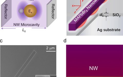 北京大学张青教授Nano Lett.：有机-无机杂化钙钛矿纳米线中的表面等离激元增强光子-激子强耦合