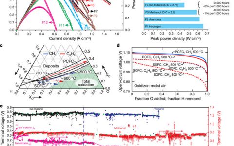 马里兰大学Nature：高度耐用，焦化和耐硫，燃料灵活的质子陶瓷燃料电池