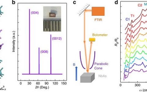 Nat. Commun.：Weyl半金属NbAs与多拓扑载体的手性朗道能级