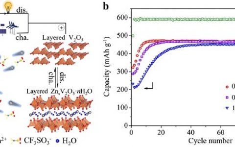 河北大学ACS Energy Letters：可充水系Zn-V2O5电池