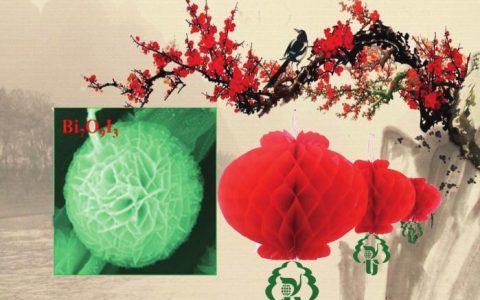 扬州大学侯建华&北理工曹传宝：灯笼状碘氧铋基材料展现高效可见光催化性能