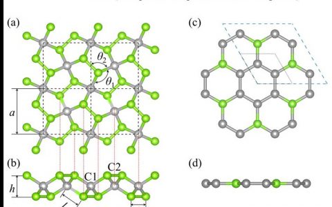 JPCL：孤立电子对一定会导致低热导率吗？