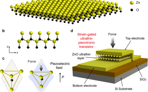 中科院北京纳米能源所王中林团队：超短沟道的压电电子学晶体管
