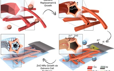 催化材料前沿研究成果精选【第7期】