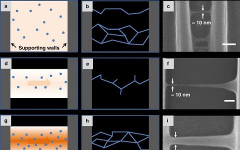 【IOP专栏】 新加坡科技设计大学 Joel K. W. Yang 团队 Nano Futures: 使用激光直写技术打印10纳米级悬空纳米网格