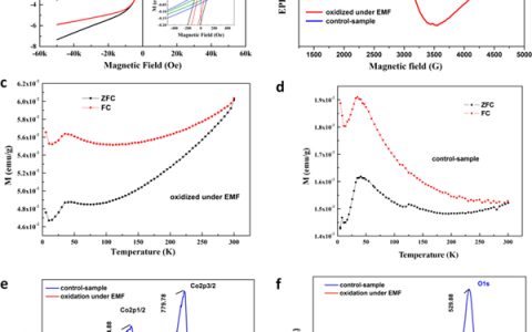 武汉理工大学Nano Lett.:基于NaO2纳米线放电产物的高性能Na-O2电池