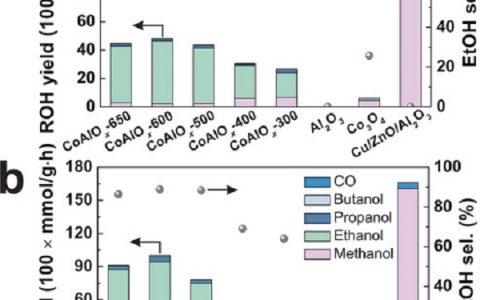 Angew. Chem. Int. Ed：钴催化二氧化碳选择性加氢合成乙醇