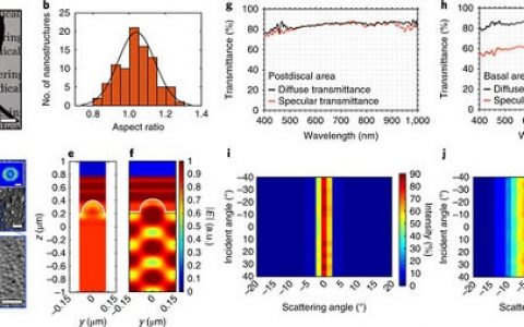 David Sretavan & Hyuck Choo Nat. Nanotech.: 由长尾玻璃翼蝴蝶为医疗设备设计的多功能双光子纳米结构