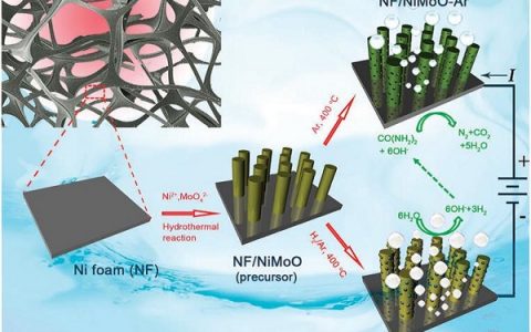 中科大Energy Environ. Sci.：Ni-Mo-O纳米棒复合催化剂用于尿素电解高效碱性水解产氢