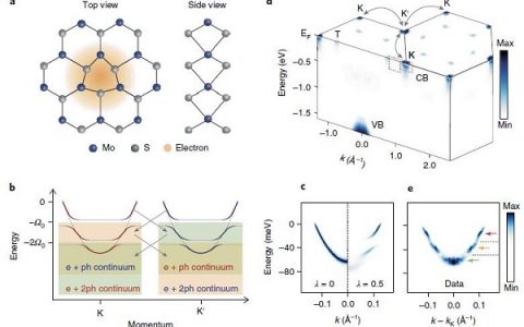Nat. Mater: 能谷分裂的二维半导体中的Holstein极化子