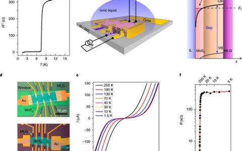 Nat. Nanotech：MoS2中诱导超导电性的隧道谱的研究