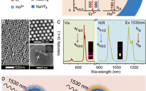 复旦张凡Angew Chem Int Edit：具有1530nm激发1180nm发射的第二近红外上转换纳米探针用于活体生物传感