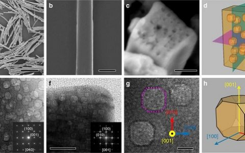 Nat. Commun.：介孔在单晶铁电体中引起零热膨胀