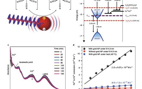 Nat. Chem.：金纳米粒子的等离子体激发产生的多个电子空穴对