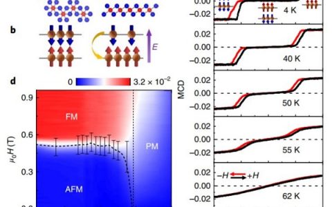 Nature Materials：二维范德华磁体的电场翻转