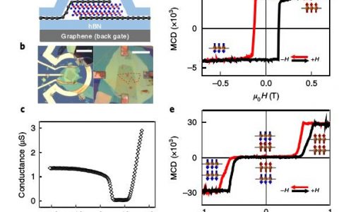 Nat. Nanotech.：静电掺杂控制2D CrI3中的磁性