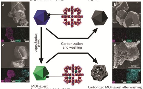 剑桥大学JACS：自下而上形成MOF-多面体的多层次碳结构
