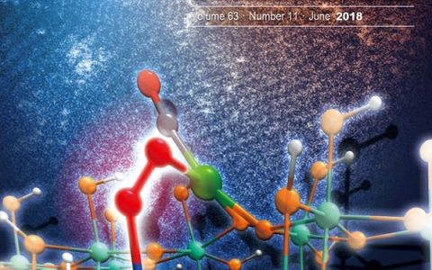 厦门大学郑南峰Sci. Bull.：单原子催化剂载体不可忽视的作用：可直接参与催化反应