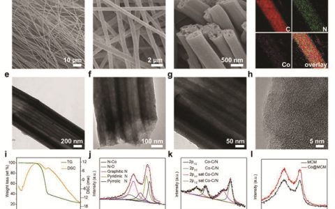 南洋理工Energy Environ. Sci. 楼雄文：通过模块策略实现具有高效电催化氧还原活性的单原子催化剂的构筑